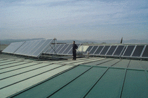 Paneles solares (Foto: Miguel Torres SA)