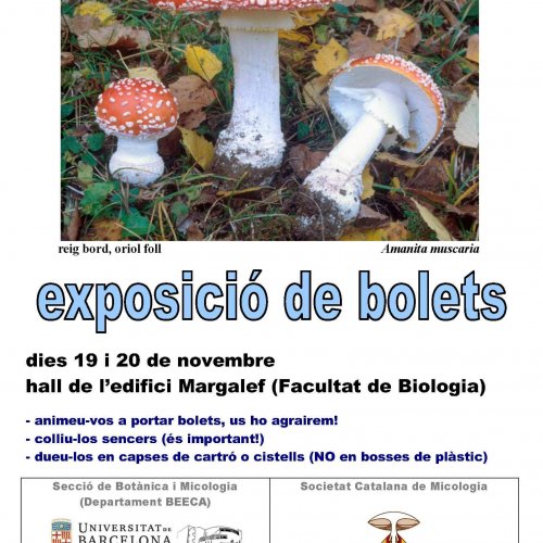 Exposición de hongos Facultad Biología