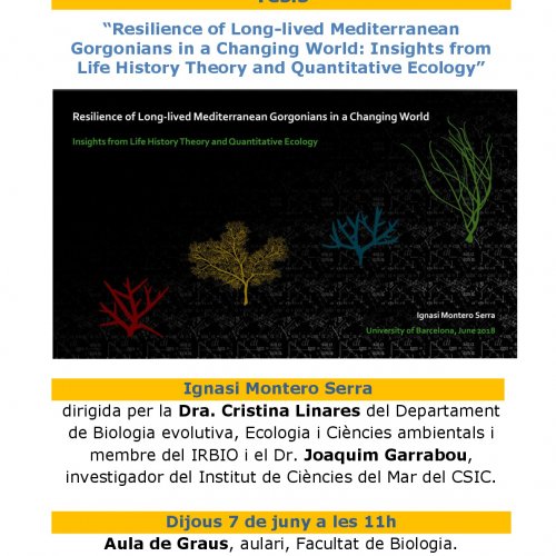 Thesis: “Resilience of Long-lived Mediterranean Gorgonians in a Changing World