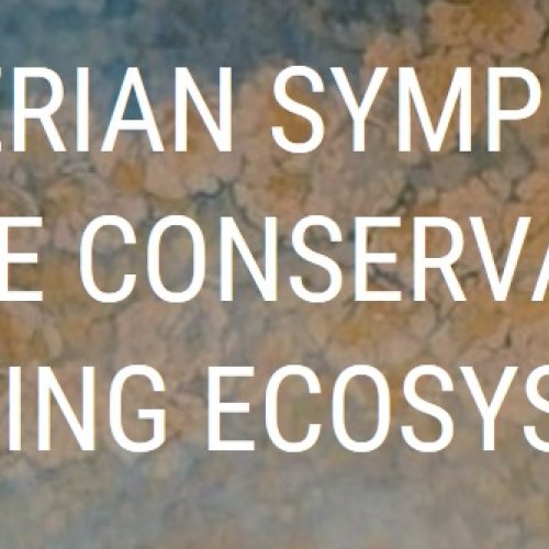 Primer Simposio Ibérico sobre Conservación de Ecosistemas Fontinales (SICEF19).