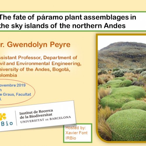 The fate of páramo plant assemblages in the sky islands of the northern Andes