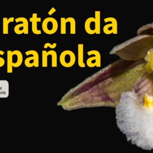 I Biomaratón de Flora Española