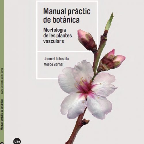 Presentació: Manual pràctic de botànica. Morfologia de les plantes vasculars