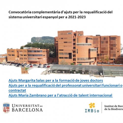 Convocatòria complementària d'ajuts per la requalificació del sistema universitari espanyol per a 2021-2023 