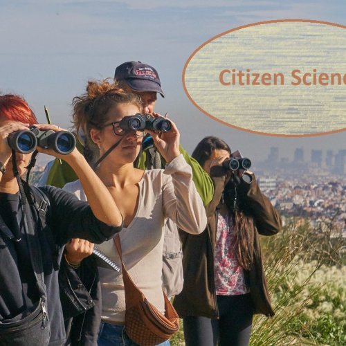 Plataformas de ciencia ciudadana