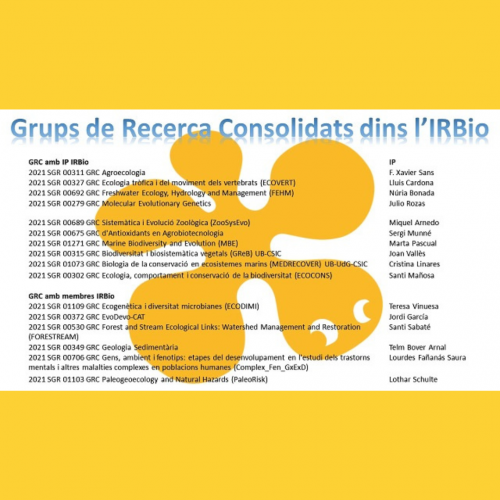 0_ Grups de investigación IRBio