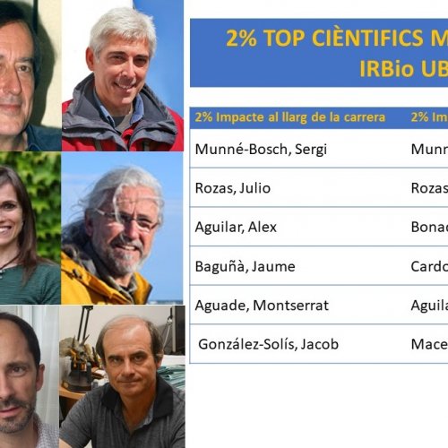 9 researchers from the Institute are in the top 2% of the Scientists List 2022 