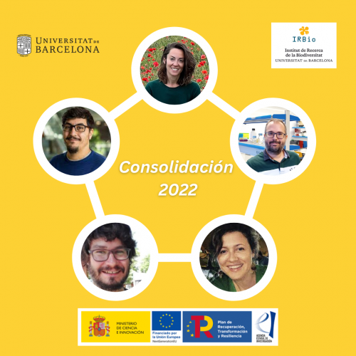 5 investigadors/es del IRBio reben l’ajut “Consolidación Investigadora 2022”
