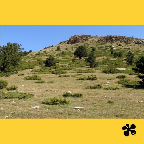 Lanzamiento del proyecto “(Re)pensar la gestión de los espacios abiertos y de la ganadería extensiva en el Alt Pirineu en el contexto del Cambio climático” (RePiCa) 