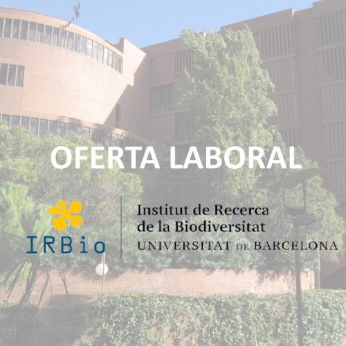 Oferta laboral tècnic de suport laboratori IRBio 