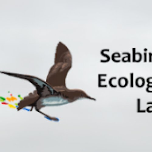 Call for MSCA post-doctoral Fellowship candidates in the field of “Effects of Climate Change on the seabird community of Cabo Verde”